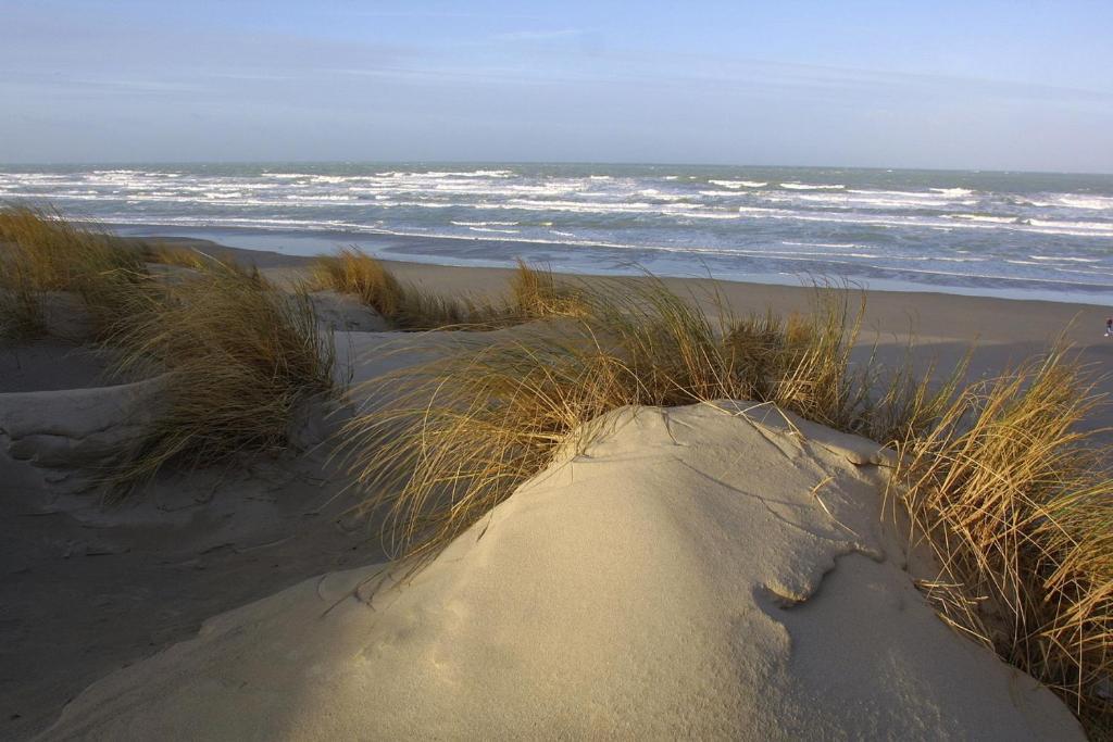 Logis Auberge De La Dune - Hotel & Restaurant Le Crotoy Eksteriør billede